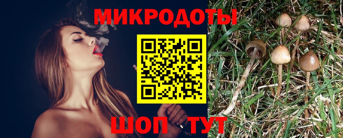 Галлюциногенные грибы Иваново