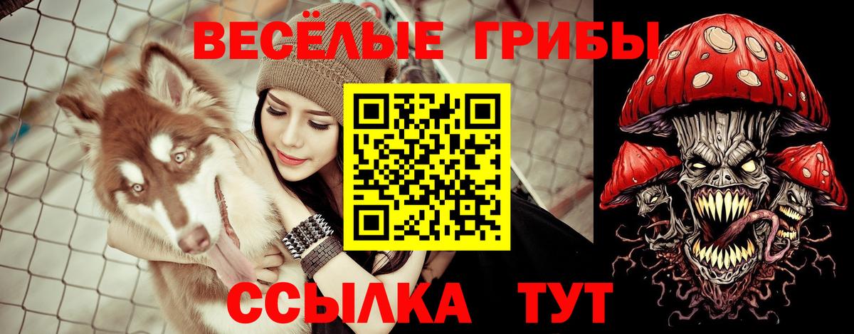 Иваново  Псилоцибиновые грибы прущие грибы  Галлюциногенные грибы Psilocybe  Вход с VPN 